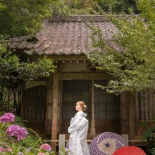 鎌倉・緑と紫陽花が綺麗なお寺 2023.06.18