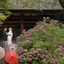 鎌倉・緑と紫陽花が綺麗なお寺 2023.06.18