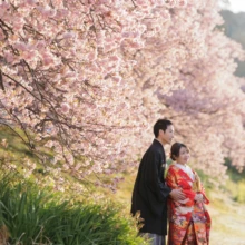 伊豆 和装 K様・Y様 満開の河津桜に包まれた南伊豆の土手で、赤い色打掛の花嫁と黒紋付袴の新郎が寄り添い遠くを見つめる和装前撮り