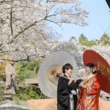 桜が美しい鎌倉の妙本寺にて。番傘を持った新郎と色打掛の新婦
