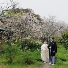 桜が咲く英勝寺の境内にて。若々しい緑の草木の中を散策する白無垢の新婦と紋付き袴の新郎