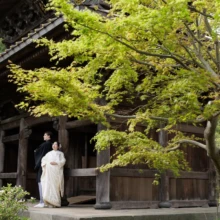 新緑の時期に、竹林のお寺で山門を背景に和装の新郎新婦