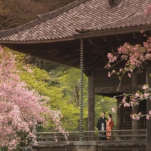 鎌倉 和装 K様・K様 2020.03.31 春の花が咲く妙本寺の歴史的な伽藍を背景に、黒紋付袴の新郎と赤い色打掛の新婦が並ぶ全身姿