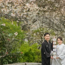 鎌倉 和装 K様・K様 2020.03.31 白い花と赤い椿が咲く庭園で、「結婚しました」の小物を持つ白無垢の新婦と黒紋付袴の新郎