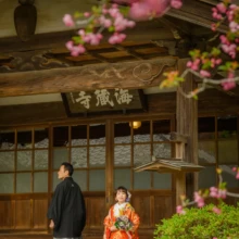 鎌倉 和装 N様・M様 2021.03.22 ピンクの海棠を前景に、海蔵寺の本堂前で色打掛姿の新婦と黒紋付袴姿の新郎が立つ春の和装前撮り