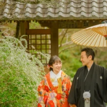鎌倉 和装 N様・M様 2021.03.22 海蔵寺の雪柳のそばで、白い和傘を差す黒紋付袴姿の新郎とオレンジの色打掛姿の新婦が見つめ合いながら歩く