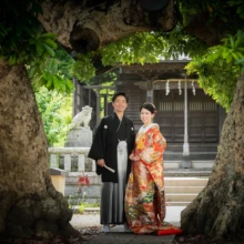 鎌倉 和装 O様・M様 2021.05.31 隣の神社の二本の大樹を額縁のように配し、色打掛の新婦と黒紋付袴の新郎が並ぶ鎌倉和装前撮り