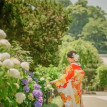鎌倉 和装 M様・Y様 2021.06.01 白や紫の紫陽花が咲く建長寺の境内で、朱赤の色打掛姿の新婦が花に手を伸ばす鎌倉前撮り