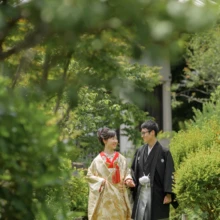 鎌倉 和装 K様・Y様 2021.06.11 檑亭の緑豊かな庭園の小径を、金色の色打掛の新婦と黒紋付袴の新郎が手をつないで歩く鎌倉前撮り
