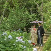 鎌倉 和装 K様・Y様 2021.06.11 初夏の紫陽花が咲く檑亭の庭園で、紫の和傘を差して寄り添う色打掛の新婦と黒紋付袴の新郎