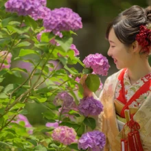 鎌倉 和装 K様・Y様 2021.06.11 檑亭の紫陽花に顔を寄せ、赤い色掛下を合わせた金色の色打掛姿で微笑む新婦の鎌倉和装前撮り