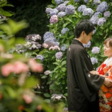 鎌倉 和装 T様・T様 2021.06.21 青紫の紫陽花に囲まれ、朱赤の色打掛の新婦と黒紋付袴の新郎が向かい合う初夏の鎌倉前撮り