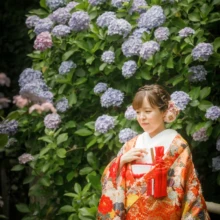 鎌倉 和装 T様・T様 2021.06.21 満開の紫陽花を背景に、鶴や花の文様を施した朱赤の色打掛で佇む新婦の和装前撮り
