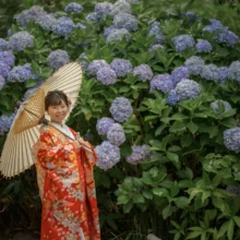 鎌倉 和装洋装 S様・S様 2021.06.25 青紫の紫陽花に囲まれ、白い番傘を差して朱赤の色打掛姿で横を向く新婦の鎌倉前撮りソロカット