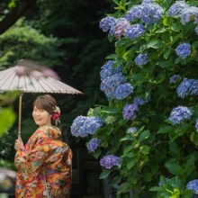 鎌倉 和装 M様・N様 2021.06.28 初夏の妙本寺で、和傘を差した色打掛姿の新婦が青紫の紫陽花に囲まれて微笑む鎌倉前撮りの花嫁ソロ