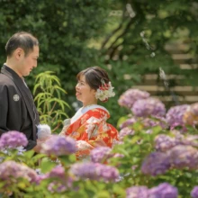 鎌倉 和装洋装 S様・S様 2021.06.25 紫陽花の間で向かい合い笑顔を交わす、黒紋付袴の新郎と朱赤の色打掛の新婦の鎌倉フォトウェディング