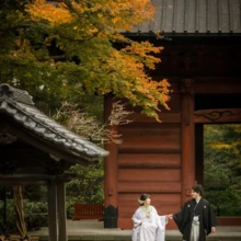 鎌倉 和装 A様・Y様 2021.12.07 紅葉が色づく妙本寺の境内で、手をつないで正面へ歩く白無垢の新婦と黒紋付袴の新郎の鎌倉和装前撮り