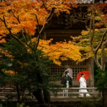 鎌倉 和装 A様・Y様 2021.12.07 妙本寺の寺院建築と紅葉を広く背景に収め、赤い和傘を添えて橋に立つ新郎新婦の鎌倉フォトウェディング
