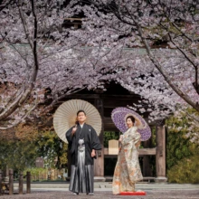 鎌倉 和装 M様・M様 2022.04.01 満開の桜がアーチ状に広がる建長寺の参道で、和傘を差して並ぶ色打掛の新婦と黒紋付袴の新郎