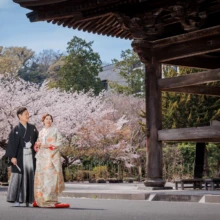 鎌倉 和装 M様・M様 2022.04.01 春の建長寺で、桜と歴史ある木造建築を背景に寄り添う色打掛の新婦と黒紋付袴の新郎の鎌倉和装前撮り