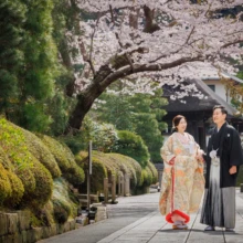 鎌倉 和装 M様・M様 2022.04.01 桜が咲く建長寺の参道で、向かい合ってほほ笑む淡い色打掛の新婦と黒紋付袴の新郎の和装前撮り