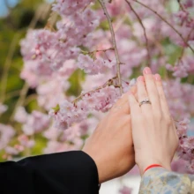 鎌倉 和装 M様・M様 2022.04.01 満開の桜へ手を添え、結婚指輪を見せる黒紋付袴の新郎と淡い色打掛の新婦の手元を捉えた春の記念