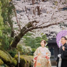 鎌倉 和装 M様・M様 2022.04.01 桜が咲く建長寺の庭園で、紫色の和傘を差す黒紋付袴の新郎と淡い色打掛姿の新婦を桜越しに捉えた構図