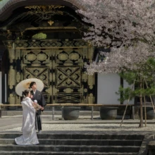 鎌倉横浜 和洋装 S様M様 2022.04.10 桜が咲く建長寺の唐門前で、白い和傘を差しながら寄り添う白無垢の新婦と黒紋付袴の新郎