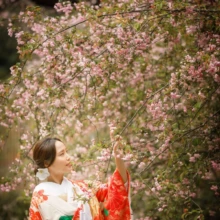 鎌倉 和洋装 H様・A様 2021.03.29 妙本寺の枝垂れ桜の下で、白地に赤い文様の色打掛を着た新婦が花に手を伸ばす春の鎌倉和装前撮り
