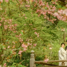 鎌倉和装 H様・H様 2021.03.29 妙本寺の桜を前景に、白無垢姿の新婦と黒紋付袴姿の新郎が新緑に囲まれた木造の欄干で向き合う春の鎌倉前撮り