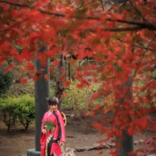 成人式撮影 S様 2022.12.03 鮮やかな紅葉が広がる秋の建長寺で、赤と黒の振袖を着て佇む女性の縦構図の成人式撮影