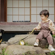 ペット・家族写真 T様 2025.10.24 古民家の庭で岩に腰掛ける幼い子どもが黄色いリードを握り、そばに立つ黒白の愛犬へ視線を向ける家族記念撮影