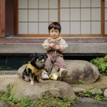 ペット・家族写真 T様 2025.10.24 鎌倉の古民家スタジオの庭で、岩に腰掛ける幼い子どもと黄色いハーネス姿の黒白の愛犬が並ぶ家族記念撮影