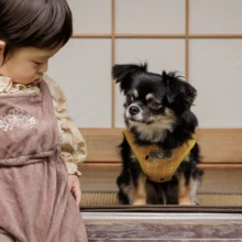 ペット・家族写真 T様 2025.10.24 古民家の縁側で、幼い子どもが隣に座る黄色いハーネス姿の黒白の愛犬を見つめる、親密な家族フォト