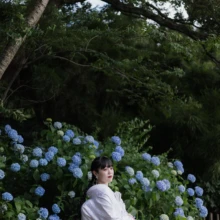 緑豊かな三溪園に咲く紫陽花とともに。白無垢の美しさが引き立つ、初夏ならではの和装フォトウェディング|縁グラフィの姉妹ブランドLuca 横浜・三溪園に咲く青い紫陽花を背景に、白無垢姿の花嫁を撮影した初夏の和装ウェディングフォト