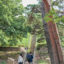 家族写真 M様 2025.09.21 大きな木と長い石段のある公園で、幼い子どもを中心に家族三人が並んで歩く縦構図