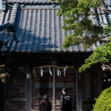 ペット・家族写真 H様 2025.11.15 鎌倉の神社で白い小型犬を連れた夫婦が、木造の社殿前に並んで参拝する後ろ姿
