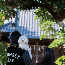 ペット・家族写真 H様 2025.11.15 鎌倉の神社へ向かい、白い小型犬を肩に抱いた男性と隣を歩く女性を後ろから捉えた家族撮影