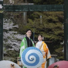 鎌倉 和装 S様・B様 2026.04.01 建長寺の桜に囲まれた緑色の鳥居前で、よさこい衣装をまとい、三本の和傘と並ぶ新郎新婦