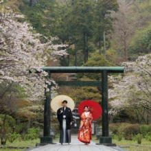鎌倉 和装 M様・I様 2026.04.02 雨に濡れた桜が咲く建長寺の緑色の鳥居前で、白と赤の番傘を差して並ぶ黒紋付袴の新郎と色打掛の新婦