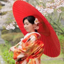 鎌倉 和装 M様・I様 2026.04.02 建長寺の桜の枝に囲まれ、赤い番傘を肩に添えて横を向く赤と金の色打掛姿の新婦の鎌倉和装前撮り