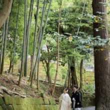 鎌倉 和装 T様・K様 2026.04.05 円覚寺の竹林と苔むした石垣に沿う小道を、白無垢の新婦と黒紋付袴の新郎が並んで歩く姿